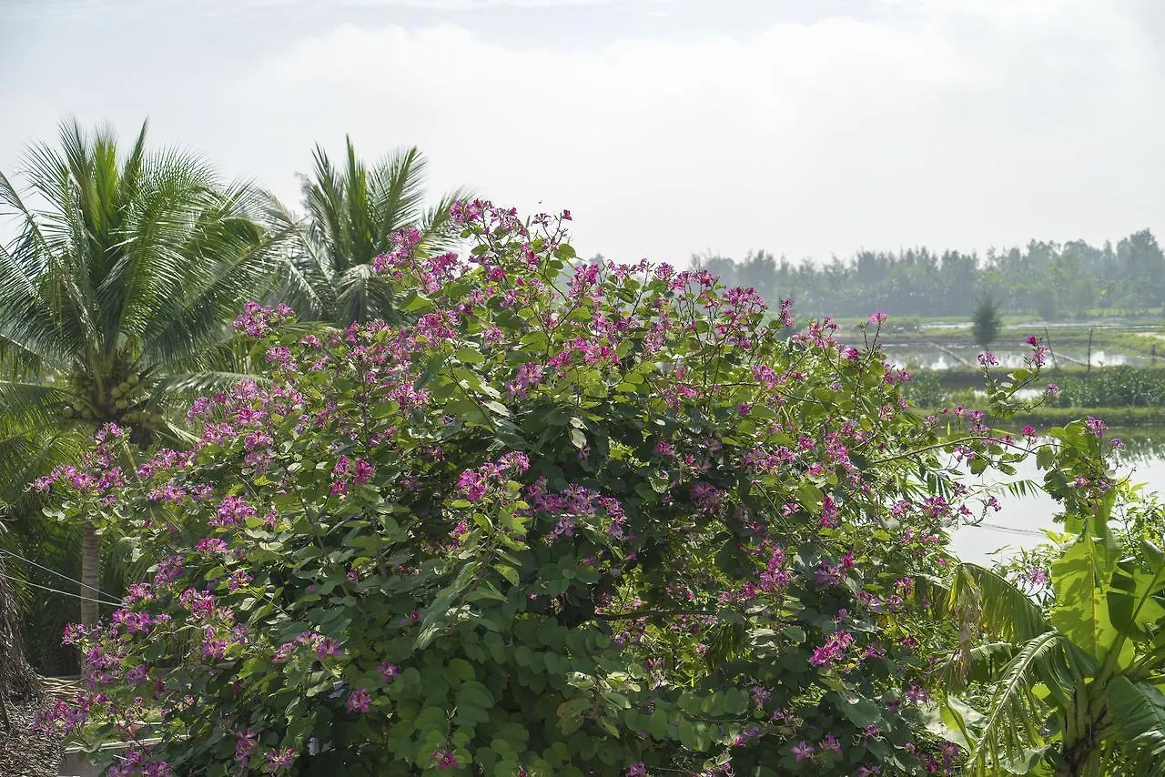 Hoi An Luna Villa 0*, הוי אן